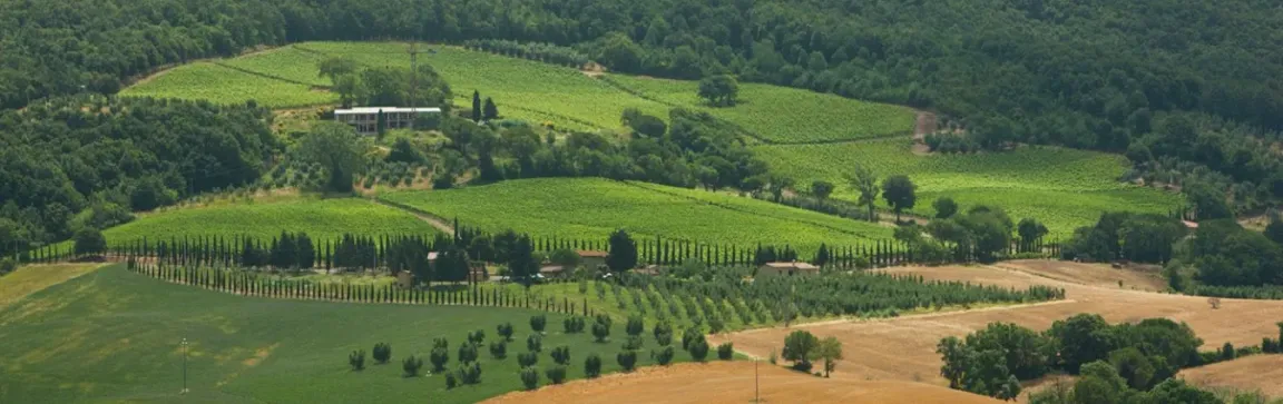 Azienda Agricola Toscani